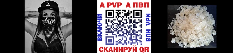 где купить наркоту  блэк спрут как войти  Alpha-PVP СК КРИС  Таштагол 