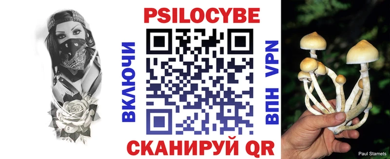 хочу   Таштагол  Галлюциногенные грибы прущие грибы 